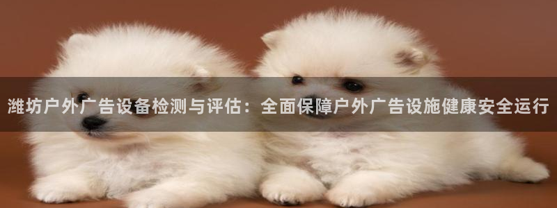 杏宇平台代理：潍坊户外广告设备检测与评估：全面保障户外广告设施健康安全运行