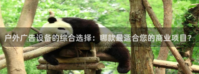 杏宇平台客服：户外广告设备的综合选择：哪款最适合您的商业项目？