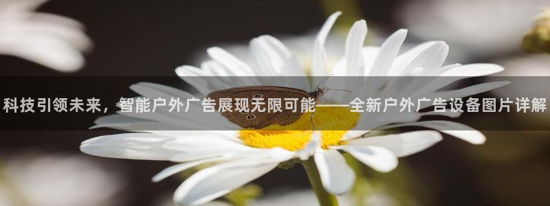 杏宇平台总代理电话：科技引领未来，智能户外广告展现无限可能——全新户外广告设备图片详解