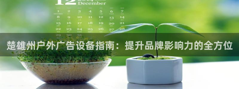 杏宇官方平台官网入口