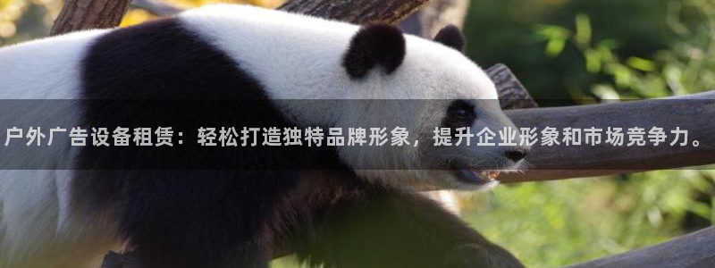 杏宇平台注册登录：户外广告设备租赁：轻松打造独特品牌形象，提升企业形象和市场竞争力。