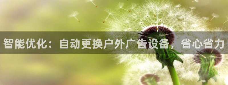 杏宇平台代理怎么赚钱