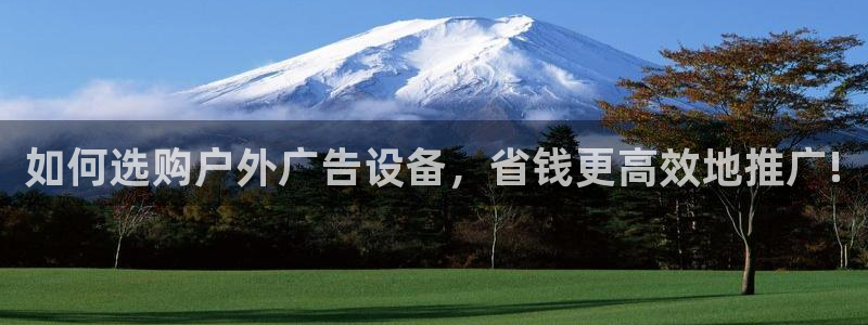 杏宇平台招商：如何选购户外广告设备，省钱更高效地推广!