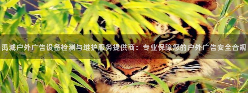 杏宇平台登录步骤：禹城户外广告设备检测与维护服务提供商：专业保障您的户外广告安全合规