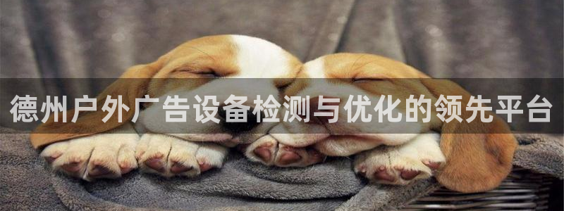 杏宇平台登录步骤是什么：德州户外广告设备检测与优化的领先平台