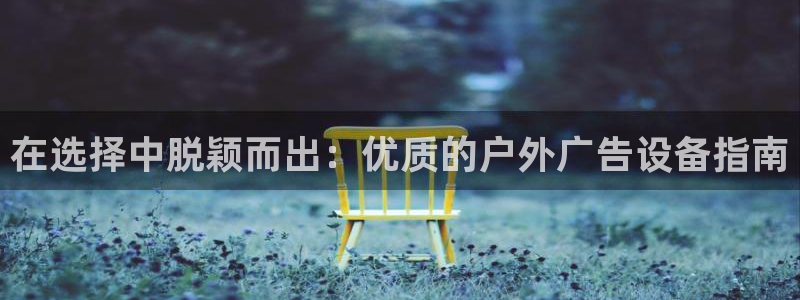 杏宇平台提现为什么这么久呢：在选择中脱颖而出：优质的户外广告设备指南