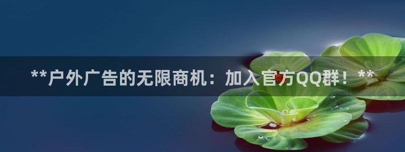 杏宇平台是什么