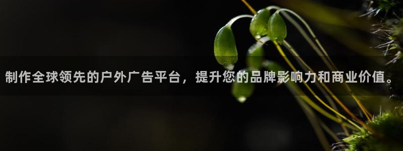 杏宇官方平台官网下载：制作全球领先的户外广告平台，提升您的品牌影响力和商业价值。