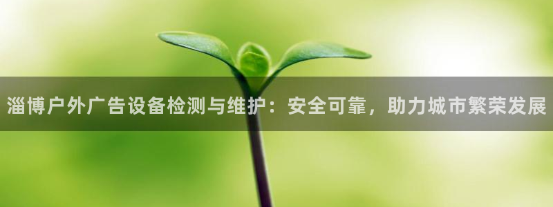 杏宇官方平台官网：淄博户外广告设备检测与