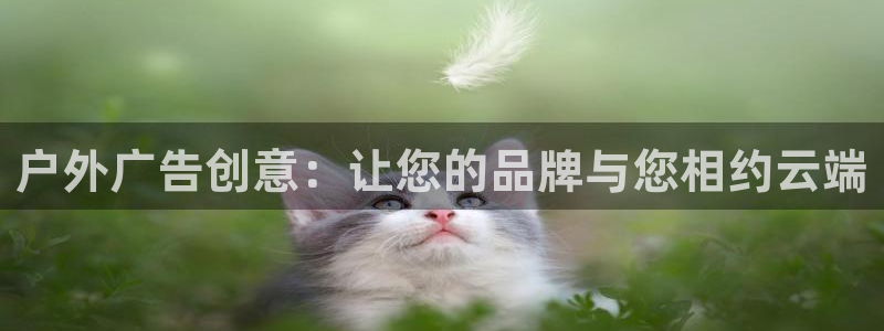 杏宇平台主管：户外广告创意：让您的品牌与您相约云端